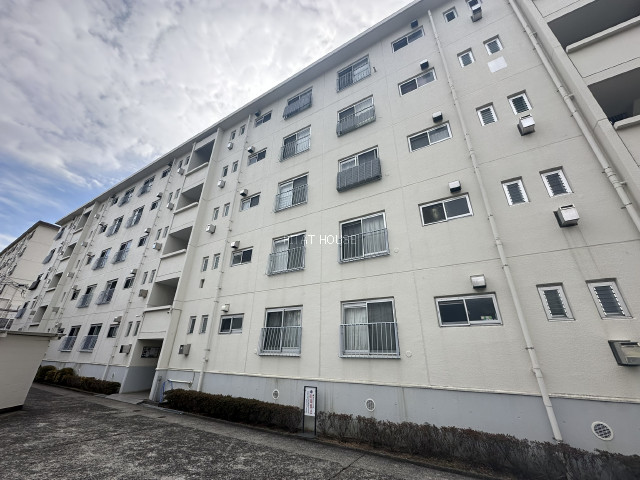 写真 写真